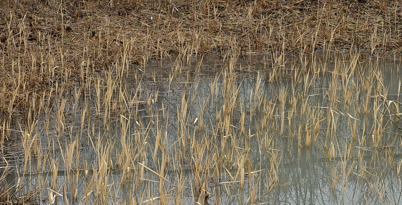 Parco della Piana - Podere della Querciola - Aula didattica